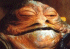 jaqba.gif